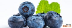 蓝莓什么时候喝最好 天天吃蓝莓的好处