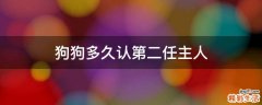狗狗多久认第二任主人