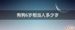 狗狗6岁相当人多少岁