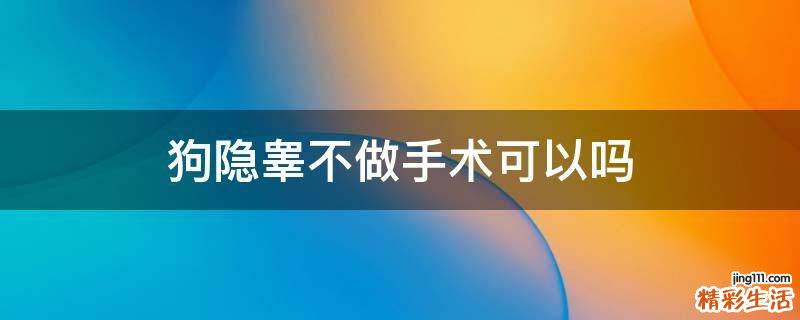 狗隐睾不做手术可以吗