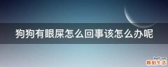 狗狗有眼屎怎么回事该怎么办呢