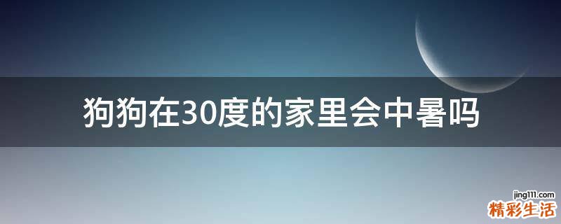 狗狗在30度的家里会中暑吗