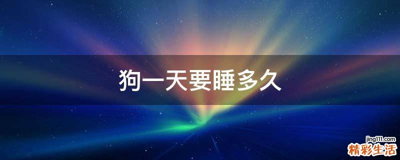 狗一天要睡多久