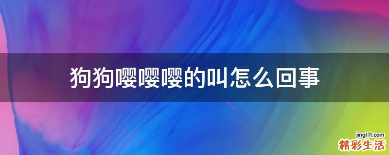 狗狗嘤嘤嘤的叫怎么回事