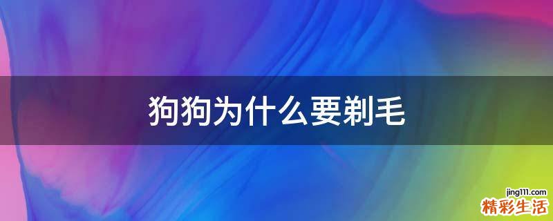 狗狗为什么要剃毛