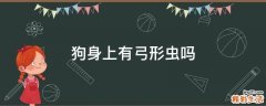 狗身上有弓形虫吗