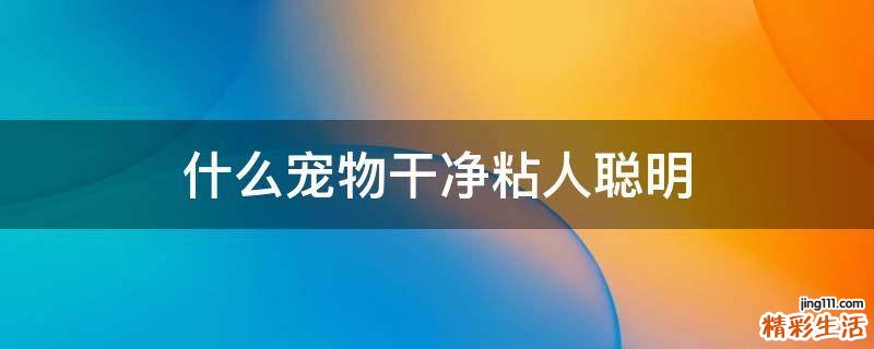 什么宠物干净粘人聪明