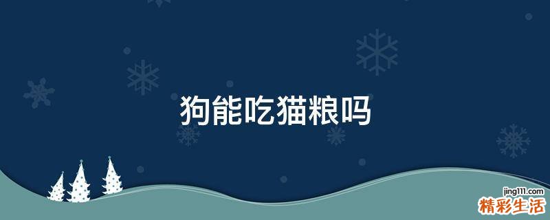 狗能吃猫粮吗