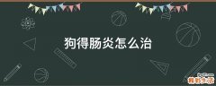 狗得肠炎怎么治