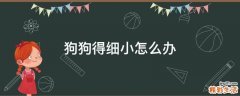 狗狗得细小怎么办