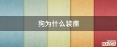 狗为什么装瘸