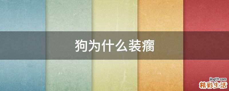 狗为什么装瘸