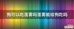 狗可以吃莲雾吗莲雾能给狗吃吗