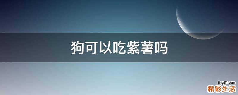 狗可以吃紫薯吗