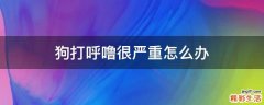 狗打呼噜很严重怎么办