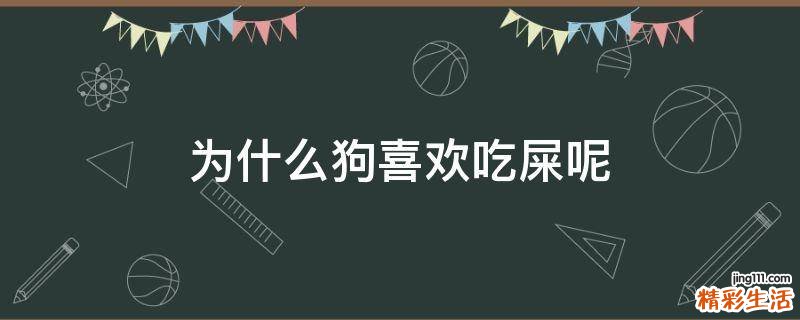 为什么狗喜欢吃屎呢