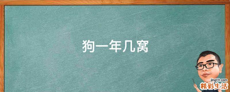 狗一年几窝