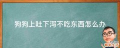 狗狗上吐下泻不吃东西怎么办