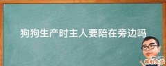 狗狗生产时主人要陪在旁边吗