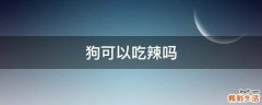 狗可以吃辣吗