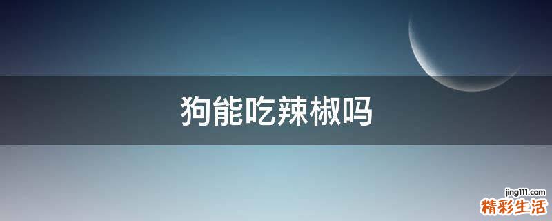 狗能吃辣椒吗