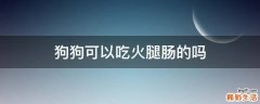 狗狗可以吃火腿肠的吗