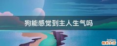狗能感觉到主人生气吗