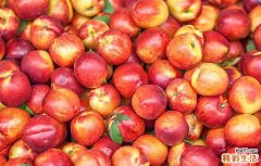 吃油桃有什么好处和坏处 吃油桃得注意点什么