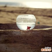 中医看肾小管性酸中毒