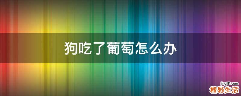 狗吃了葡萄怎么办