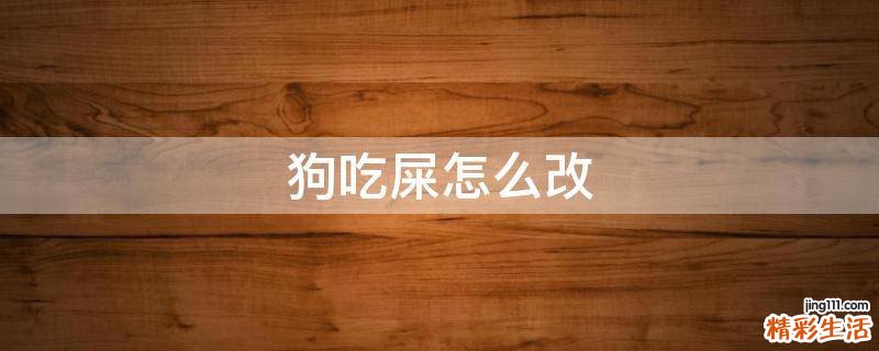 狗吃屎怎么改