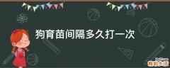 狗育苗间隔多久打一次