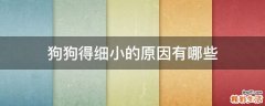 狗狗得细小的原因有哪些