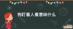 狗盯着人看意味什么