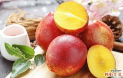 油桃能不能做罐头 油桃怎么做罐头