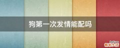 狗第一次发情能配吗