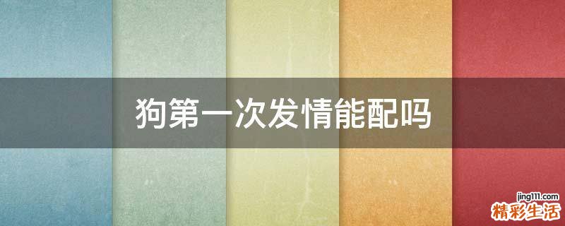狗第一次发情能配吗