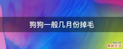 狗狗一般几月份掉毛