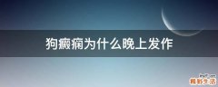 狗癜痫为什么晚上发作