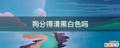 狗分得清黑白色吗