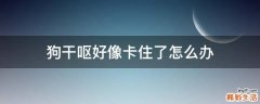 狗干呕好像卡住了怎么办