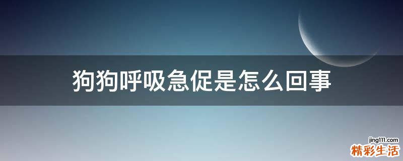 狗狗呼吸急促是怎么回事