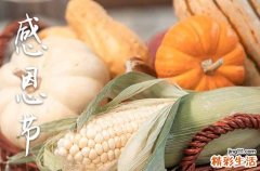 感恩节简短独特祝福语优秀