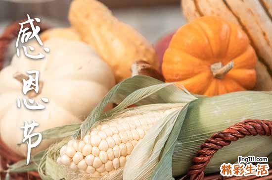 感恩节简短独特祝福语优秀