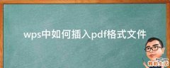 wps中如何插入pdf格式文件