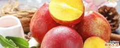 油桃和什么放一起熟得快 油桃很硬是没熟吗