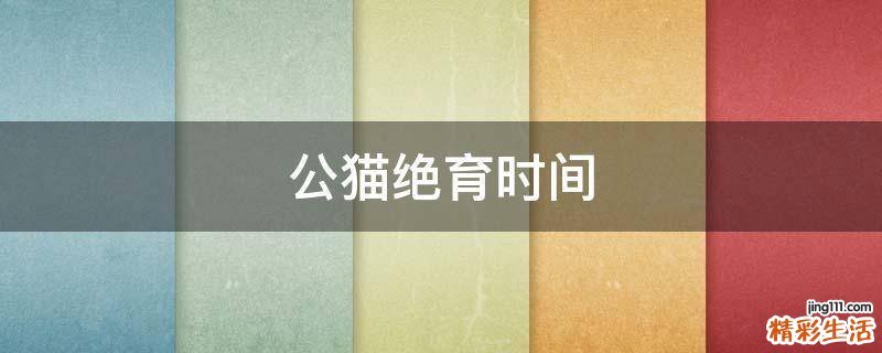 公猫绝育时间