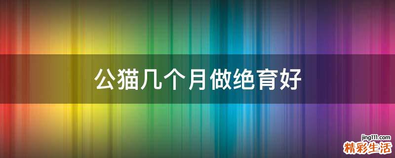 公猫几个月做绝育好