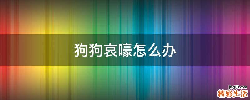 狗狗哀嚎怎么办