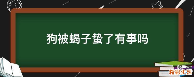 狗被蝎子蛰了有事吗